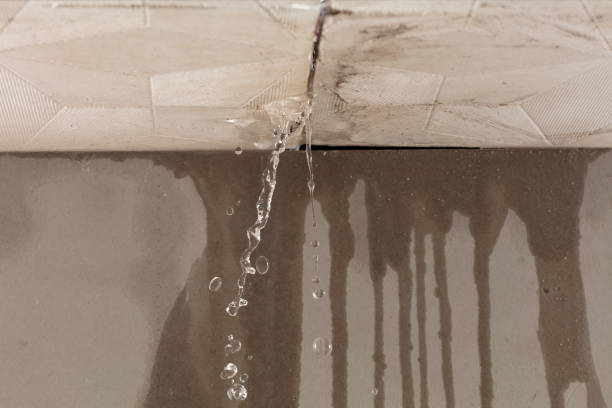 Professional Water Extraction technician working in Perry, MI